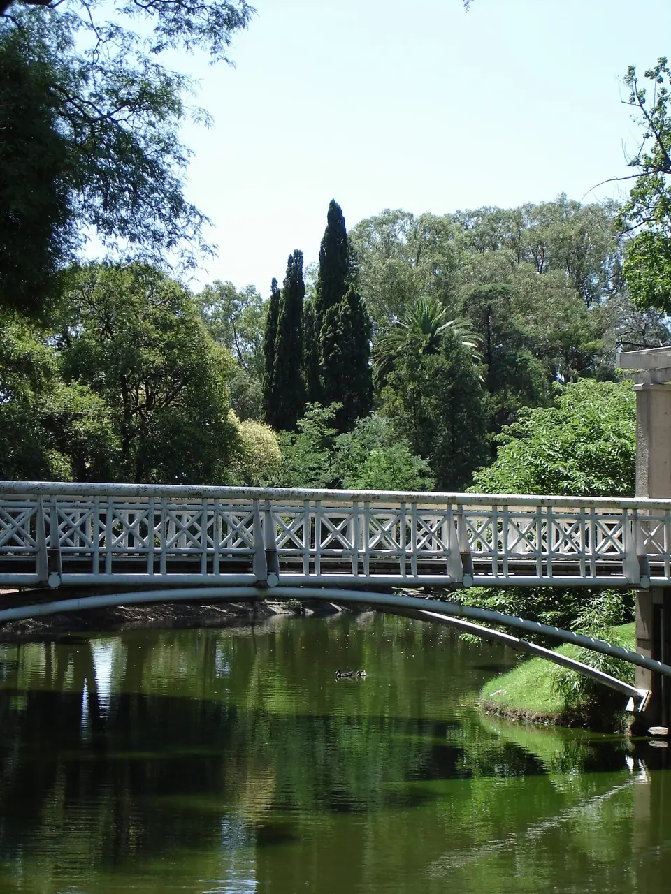 Puente sobre el lago del Parque Sarmiento, Córdoba, pulmón verde adyacente al barrio Colón