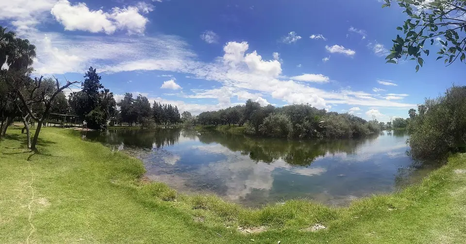 Bosque de los Constituyentes, el mayor espacio verde de Rosario, ubicado en el límite noroeste del distrito