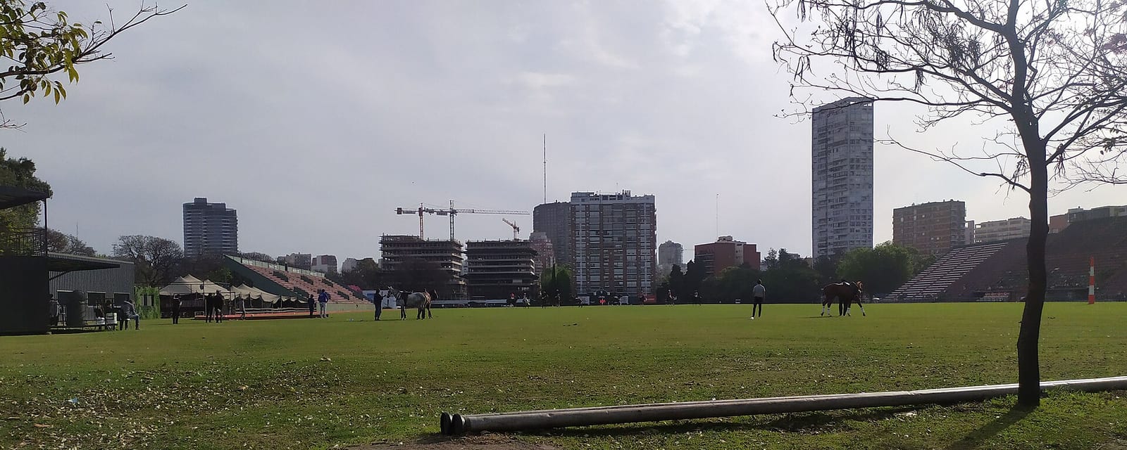 Campo Argentino de Polo visto desde la Avenida del Libertador, corazón deportivo de Las Cañitas