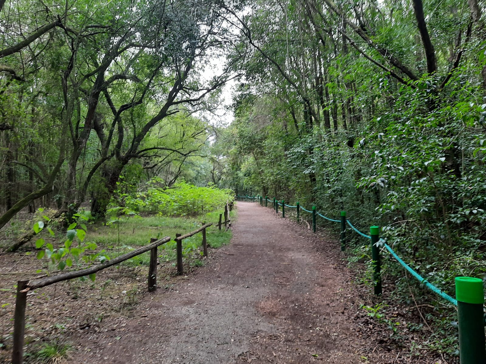 Sendero en el Parque Nacional Ciervo de los Pantanos, entre Escobar y Campana