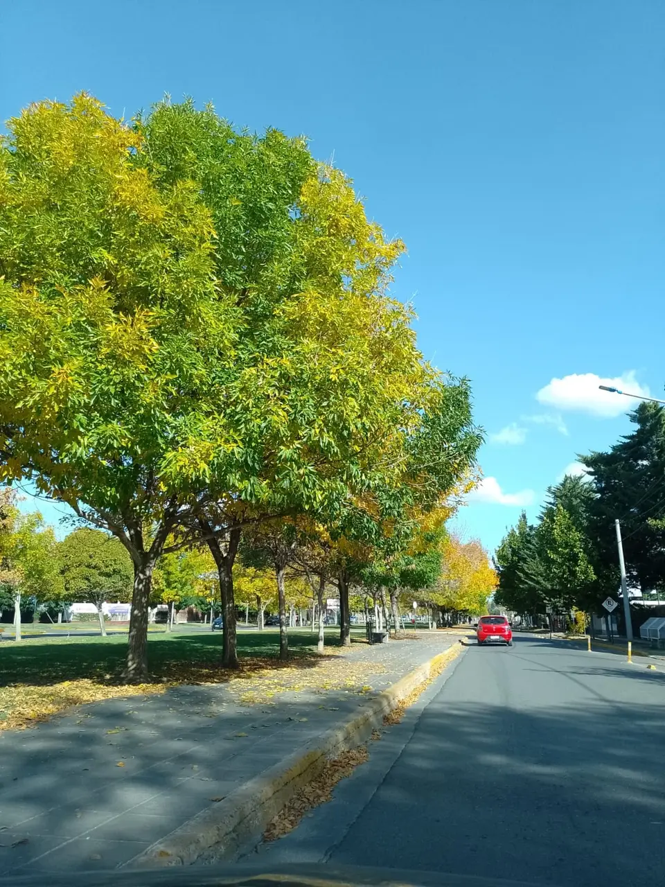 Avenida Olascoaga, una de las arterias principales del microcentro de Neuquén Capital