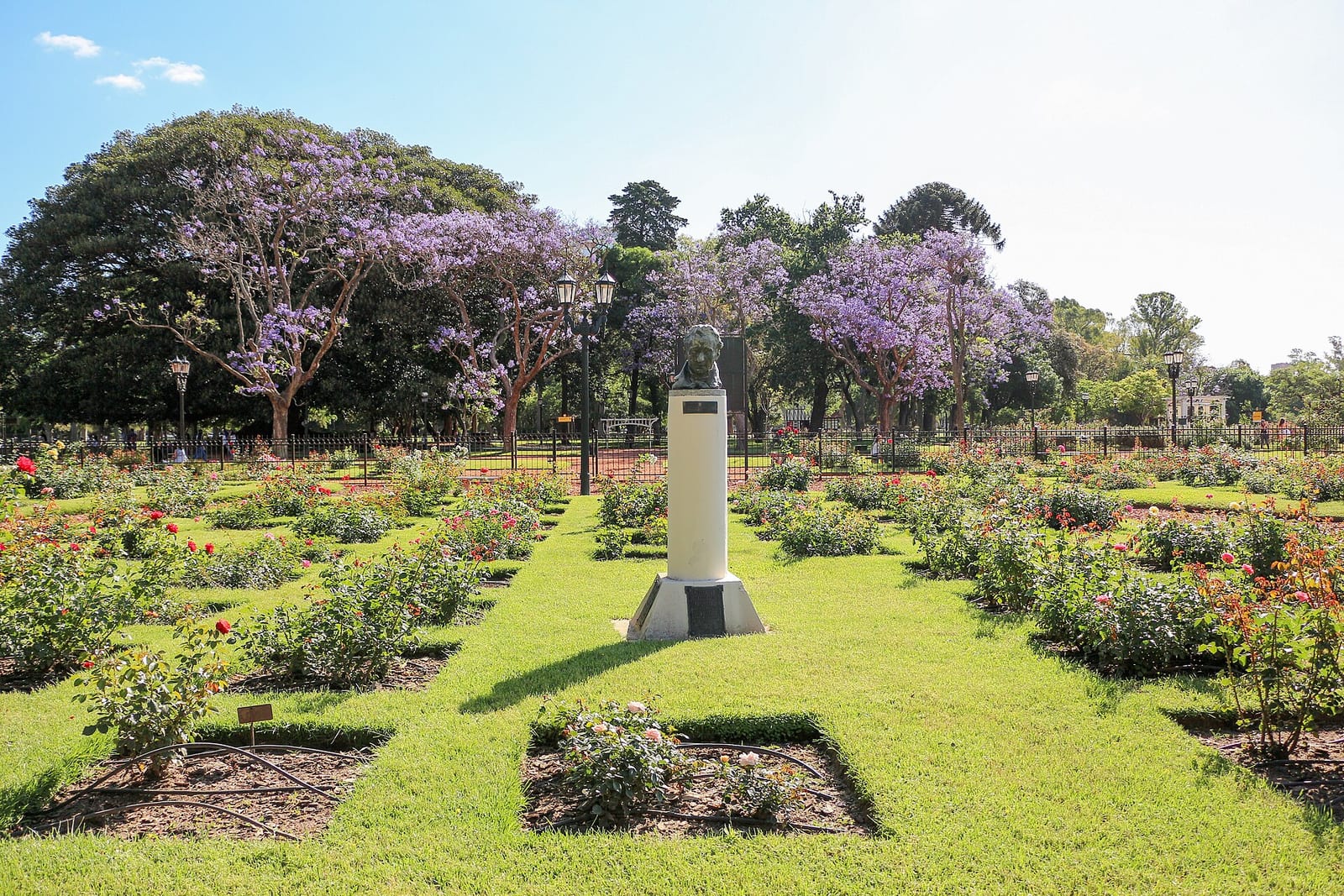 El Rosedal de Palermo, con sus 18.000 rosales en el Parque Tres de Febrero