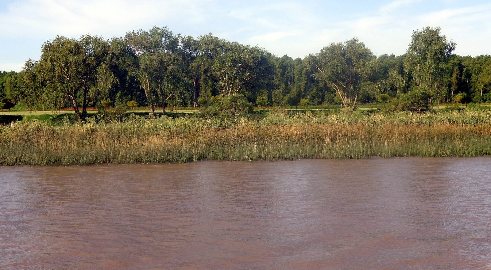 Vista del Delta de San Fernando con sus arroyos y vegetación típica