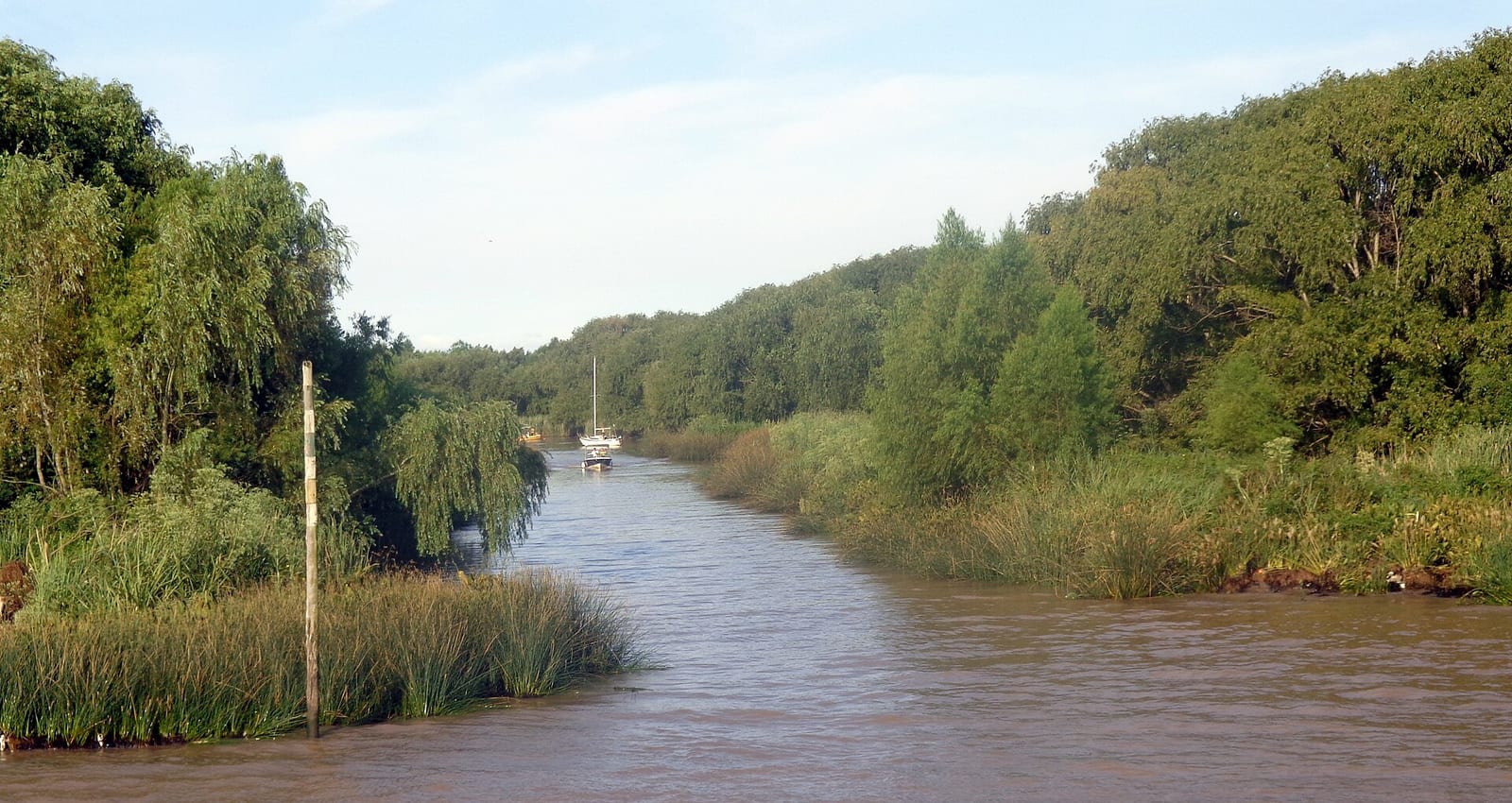 Paisaje de arroyo en el Delta de San Fernando, Buenos Aires