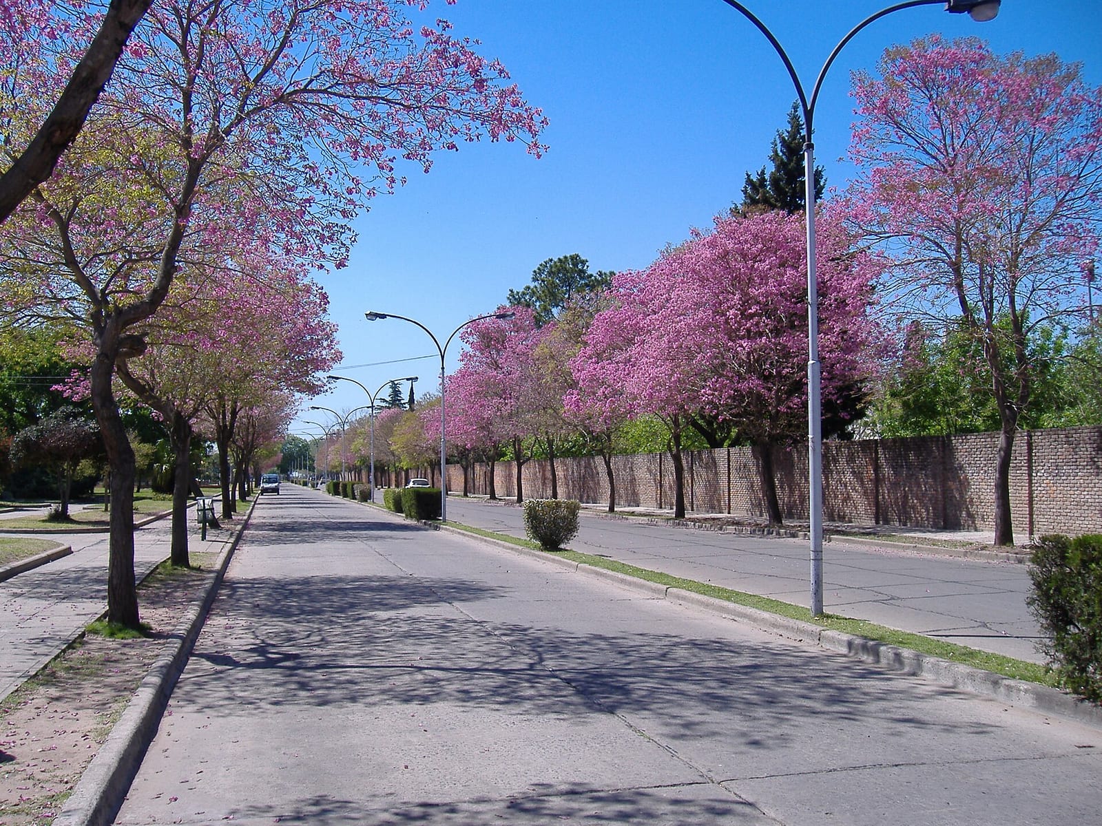 Avenida del Combate, calle principal que atraviesa el centro histórico de San Lorenzo