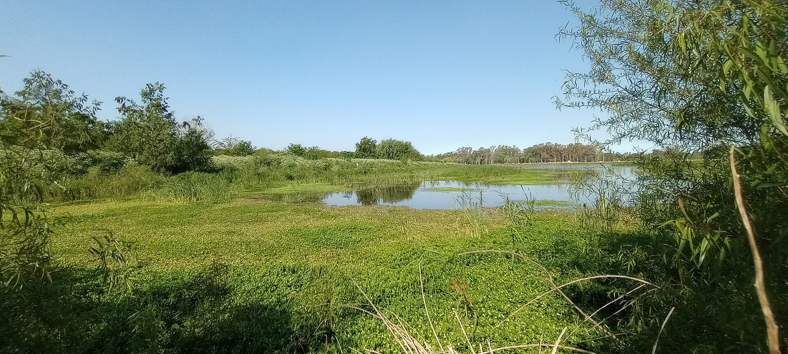 Laguna en la Reserva Natural Lagunas de San Vicente, espejo de agua más cercano a CABA