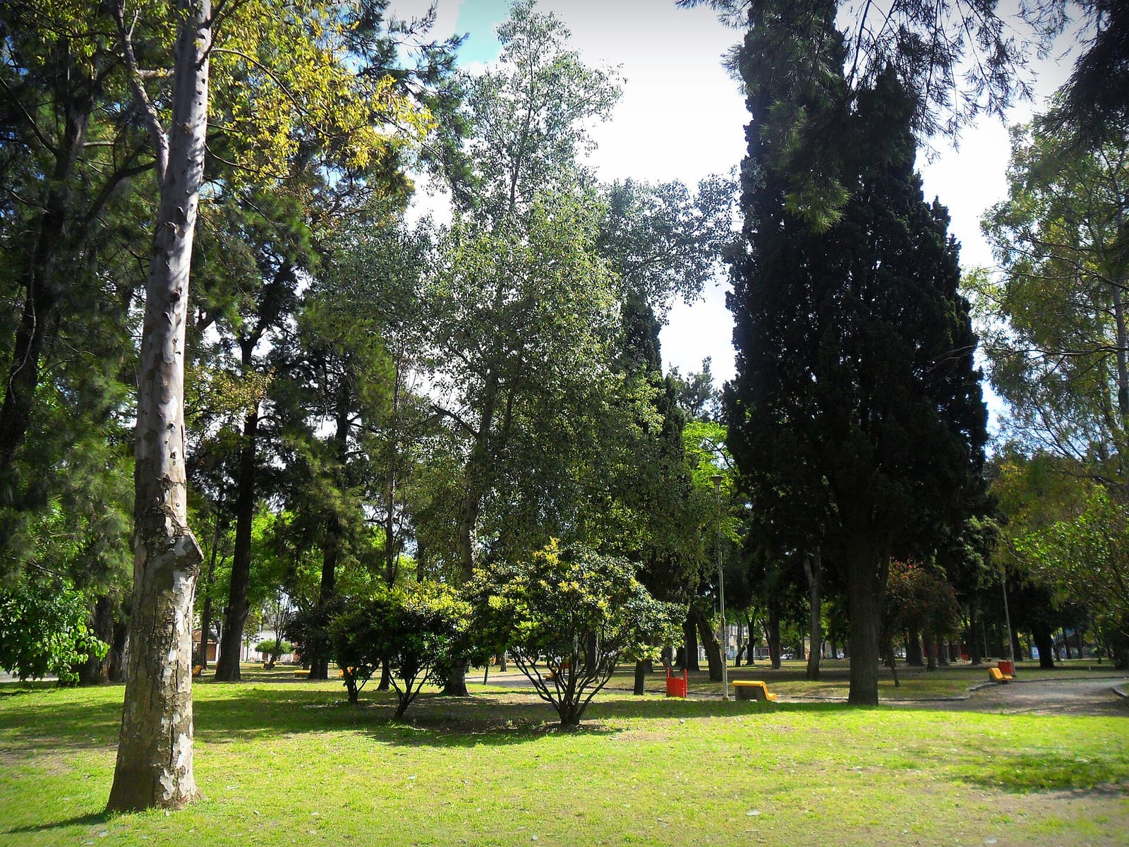 Tarde en el Parque de los Derechos del Trabajador, Villa Domínico