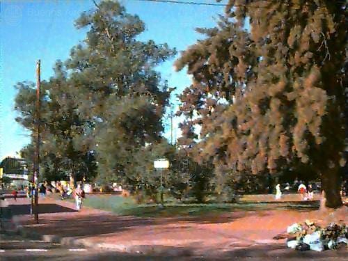 Plaza Sáenz Peña, el principal espacio verde de Villa General Mitre, creada en 1937