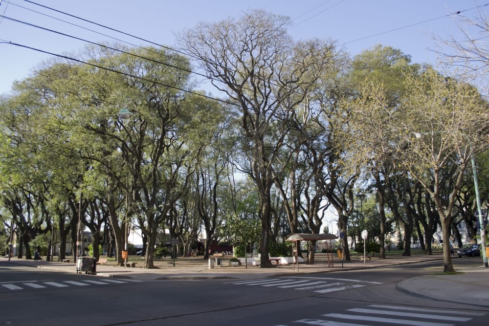 Plaza Leandro N. Alem, punto de encuentro del barrio Villa Pueyrredón