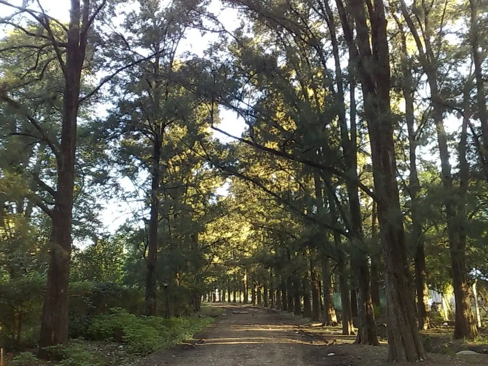 Vista de Parque Leloir, el pulmón verde de Villa Udaondo en el partido de Ituzaingó