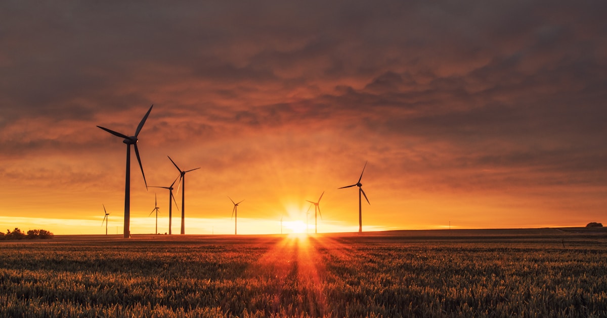 Aerogeneradores de energía eólica en campo abierto bajo cielo azul