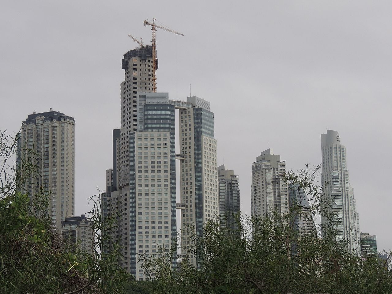 Foto 5 de Alvear Tower