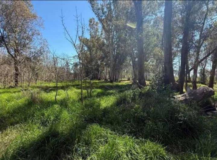 Lote venta en Brandsen