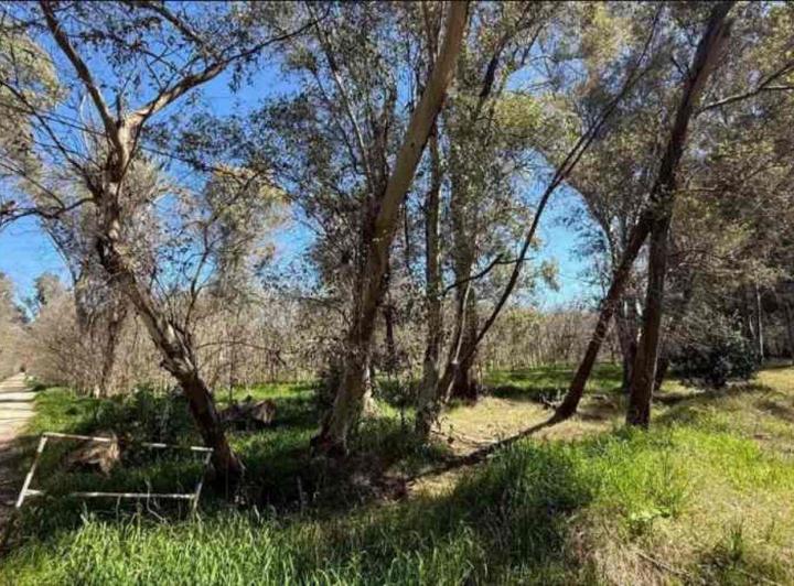 Foto de Lote venta en Brandsen, imagen 2