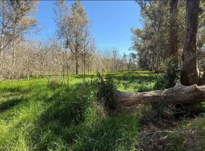 Foto de Lote venta en Brandsen, imagen 3