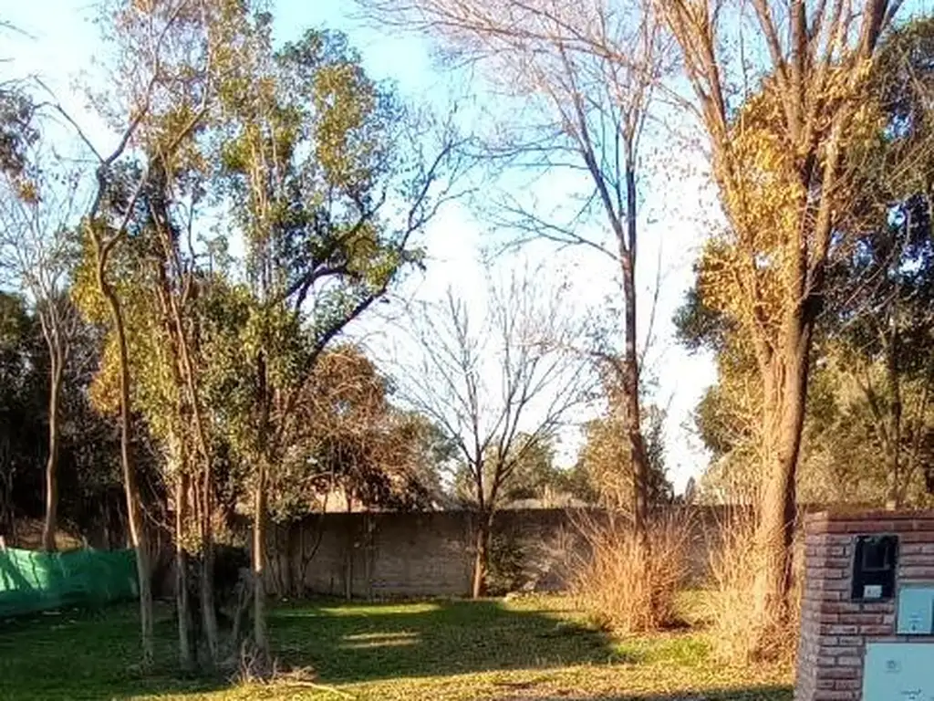 Foto de ALTOS DE SAN CARLOS, imagen 5