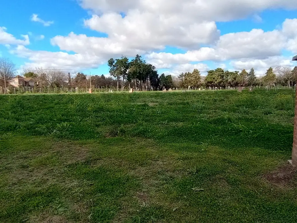 Foto de LOTE INTERNO EN LA ESTELA, imagen 4