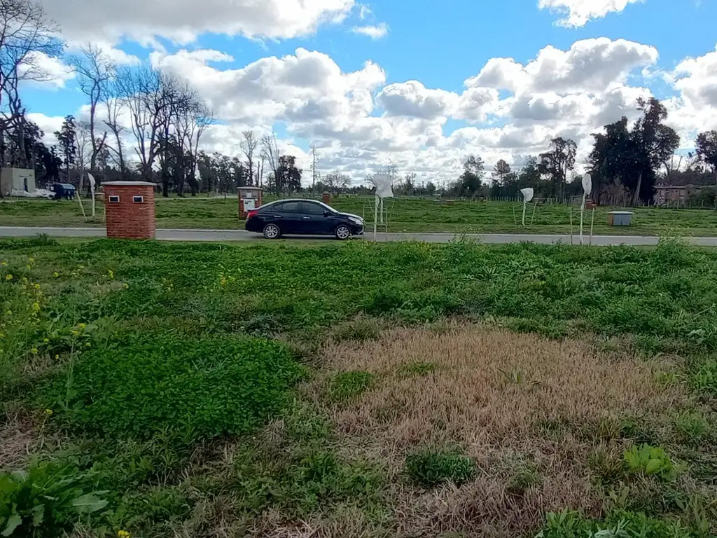 Foto de LOTE INTERNO EN LA ESTELA, imagen 5